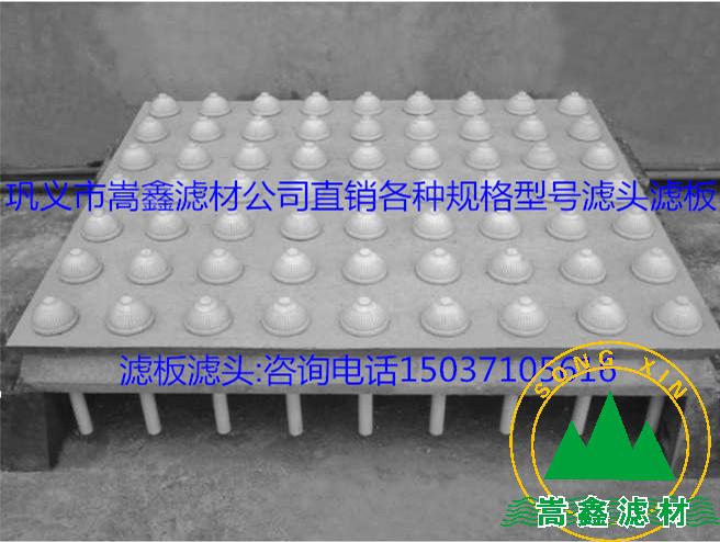 �V�^���V��